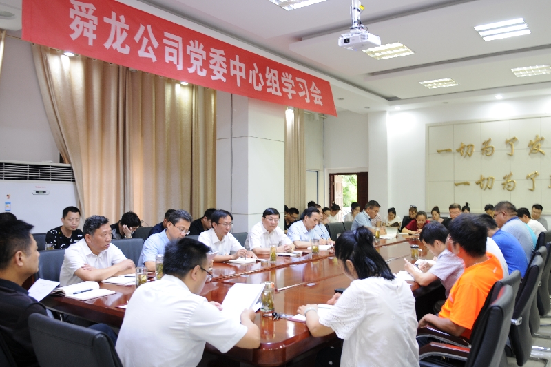 舜龍公司召開“講忠誠、嚴紀律、立政德”專題警示教育動員會